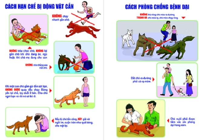 BÀI TUYÊN TRUYỀN VỀ PHÒNG, CHỐNG BỆNH DẠI